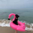 펜션궁 | 강릉 펜션추천 펜션궁 내돈내산 극찬 후기