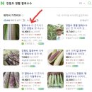 새암 농장 | 6시 내고향 영월 찰옥수수 파는곳 택배주문 산지직송