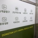 동탄시티동물의료센터