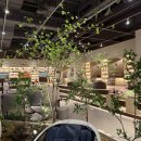 하루의 힐링 | 남양주 실내데이트 추천, 스파디움24에서 하루 종일 힐링하고 온 후기