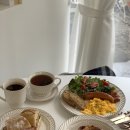 카페델피니