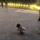 춘천 동면 카페 에를레프니스 도심속 카페