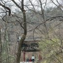 김밥천국도량점 | 서울 도봉산 천년기도도량 ‘천축사’ 템플스테이 후기🪷