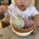 N.VILLAGE 3 | 아기랑 콜럼버스 당일치기_홍콩반점,OSU,독일거리,The book loft of german village,충만치킨