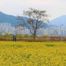 파스쿠찌(강서점) 이미지