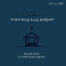 김치파이브 이미지