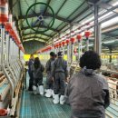 남원흑염소농장 2농장 이미지