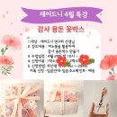 재미드니연구소