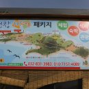 옹진해운개발
