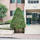 쌍용부동산공인중개사사무소 이미지