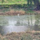 판관서유교 영세불망비 이미지