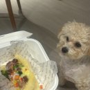 멍개식당