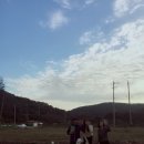 GPS 애견학교 이미지