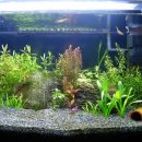 리비스(주) 이미지