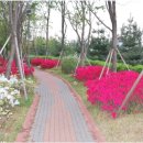 우림부동산공인중개사사무소 이미지