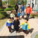 꼬꼬랜드 이미지