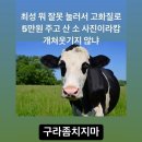 인생뽑기 이미지