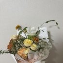 안온 플라워