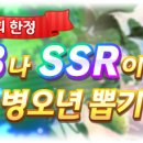 ★3 / SSR 확정 병오년 뽑기 개최 안내 이미지