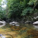 백운면 2049 이미지