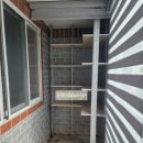 연지포레 이미지