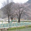 단산중학교 이미지