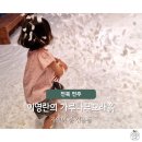 오와이농장 네이버블로그