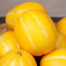 해동힐링안마원 이미지