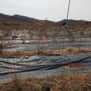 정규문농장 이미지