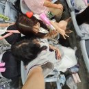 백조횟집 | 2025, 7월은 백조모드