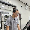 사랑동물병원 | 강북구고양이병원 갑작스러운 발작과 행동 변화의 원인은?