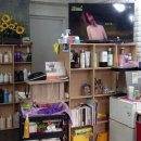금모래미용실 - 수원시 팔달구 | 금모래미용실