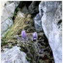 문산2리 이미지