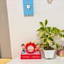 압화로 물티슈 케이스 꾸미기 | [성수놀거리] 리빙 덕후의 이구홈 성수(29cm) 오픈 방문 후기