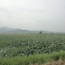 저수지상회 이미지