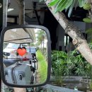 조아피자호마루떡볶이 | 나트랑 아미아나 리조트 오션뷰 스노쿨링 조식 솔직후기