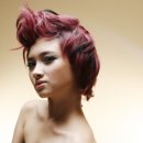 엘렉스푸드 Daum카페