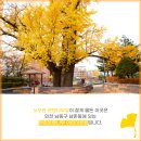 하촌어린이공원 이미지