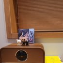 책방소설Novella 이미지