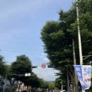 남파로 이미지