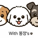 정아애견 이미지