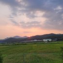 고창잔디민박