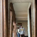 (주)투에이취에프 | [4월 1주 차] 벚꽃 찾아 삼만리