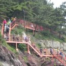 구덕산책로 숲길 이미지