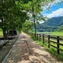 돌배나무 민박 이미지