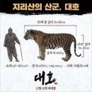 대호 이미지