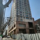 강남-277 이미지