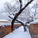 남사예담촌마을 이미지