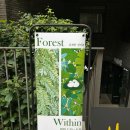 재훈 | 재훈 컬렉터님 전시후기] conteB.hannam_ 꽁떼비 갤러리 &lt;Forest Within&gt; 김재현 한아름 2인전 2025. 07...