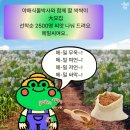 씨앗과 숲